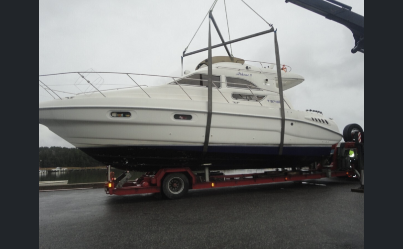 Sealine Muu malli-kuva-2